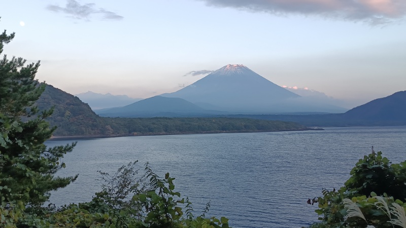 Mehr über den Artikel erfahren Von Osaka nach Tokyo zurück (23.10.-28.10.23)