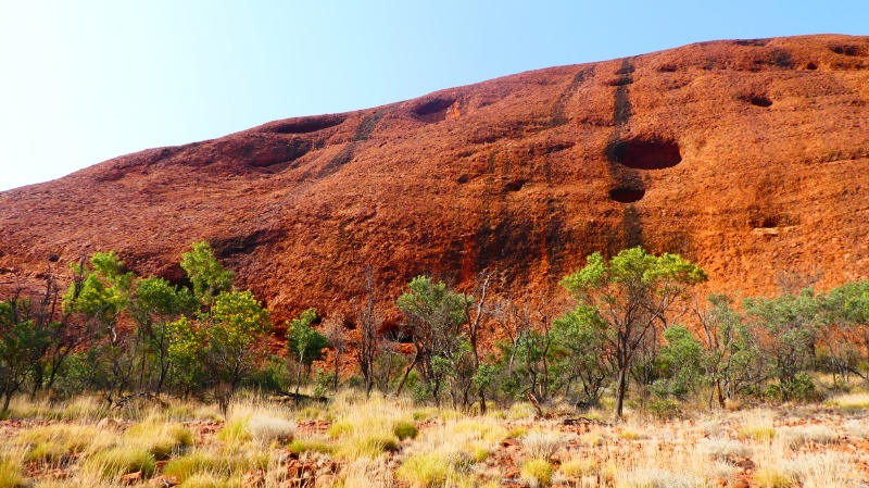 Mehr über den Artikel erfahren Kings Canyon und Uluru-Kata Tjuta National Park (10.11.-12.11.23)